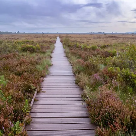 Prázdninový areál Solway Port Carlisle